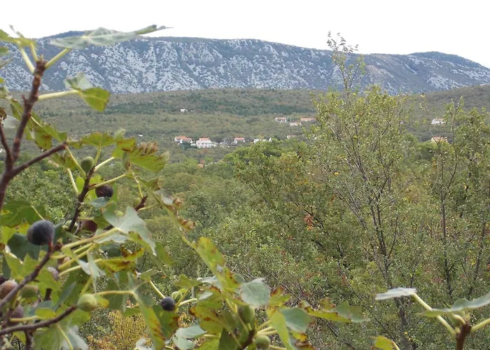Apartments Rogic