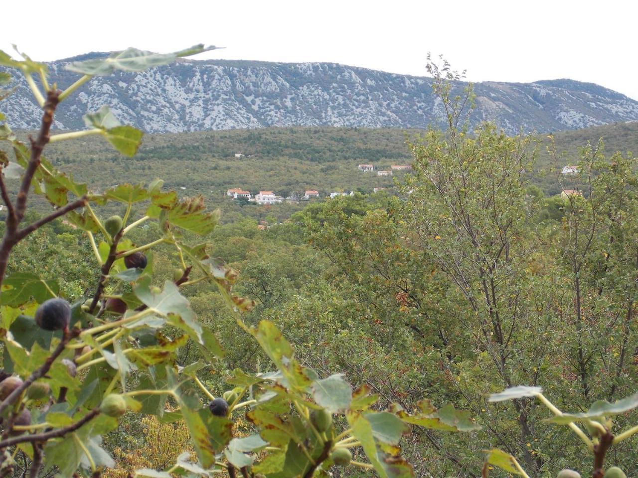 Rogic * Jadranovo